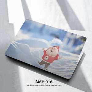 Amh 016c