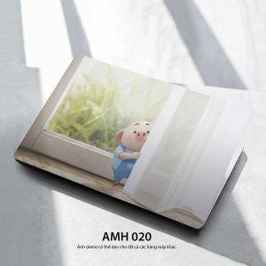 Amh 020c