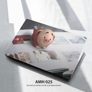 Amh 025c