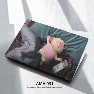Amh 031c