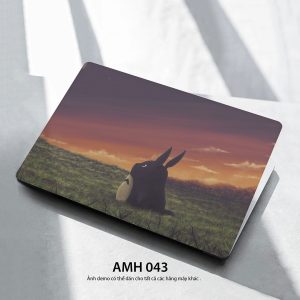 Amh 043c