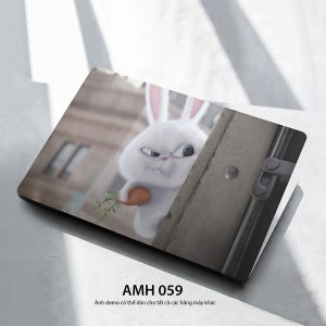 Amh 059c