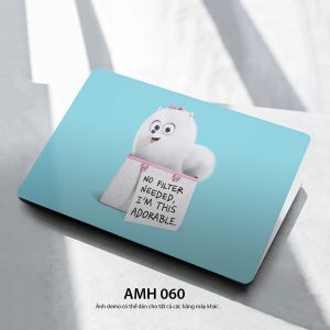 Amh 060c
