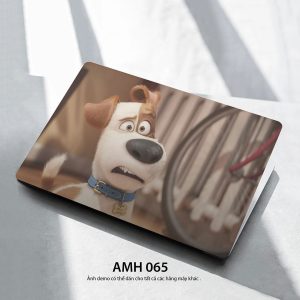 Amh 065c