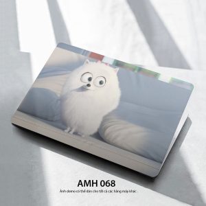 Amh 068c
