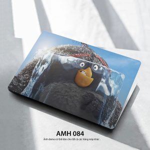 Amh 084c