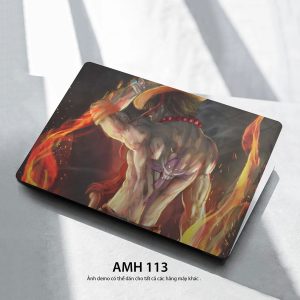 Amh 113c
