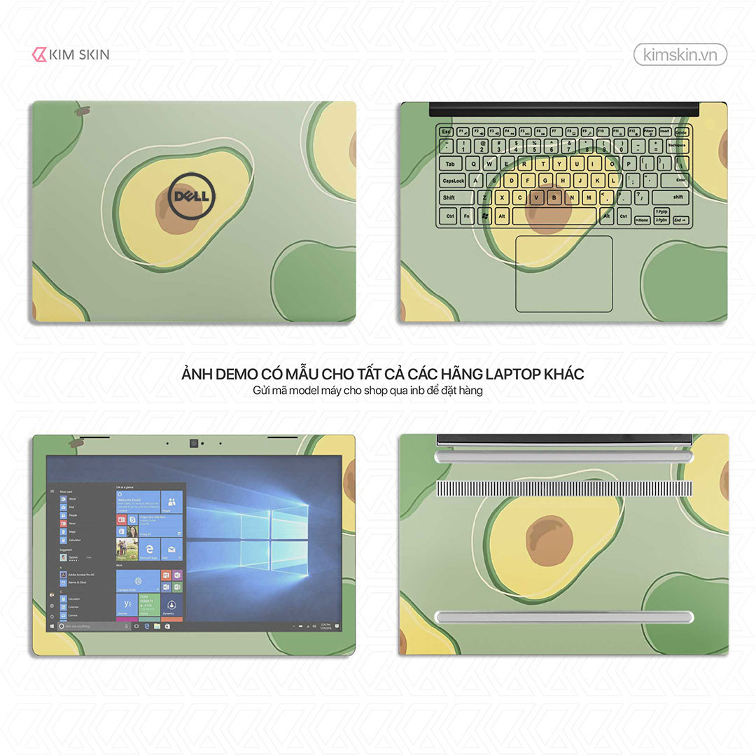 Decal Laptop Quả bơ Dtt 025