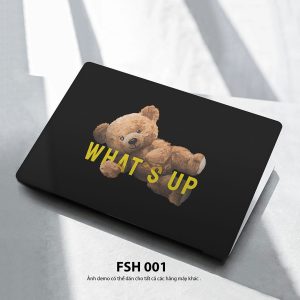 Fsh 001c